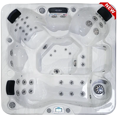 Avalon-X EC-849LX hot tubs for sale in Chatham