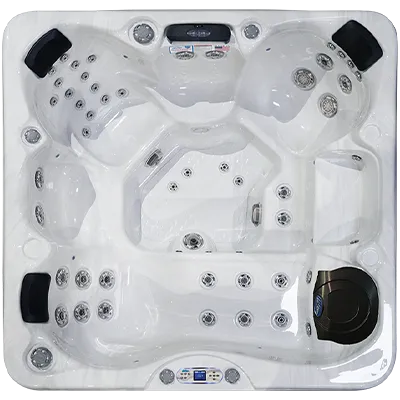 Avalon EC-849L hot tubs for sale in Chatham